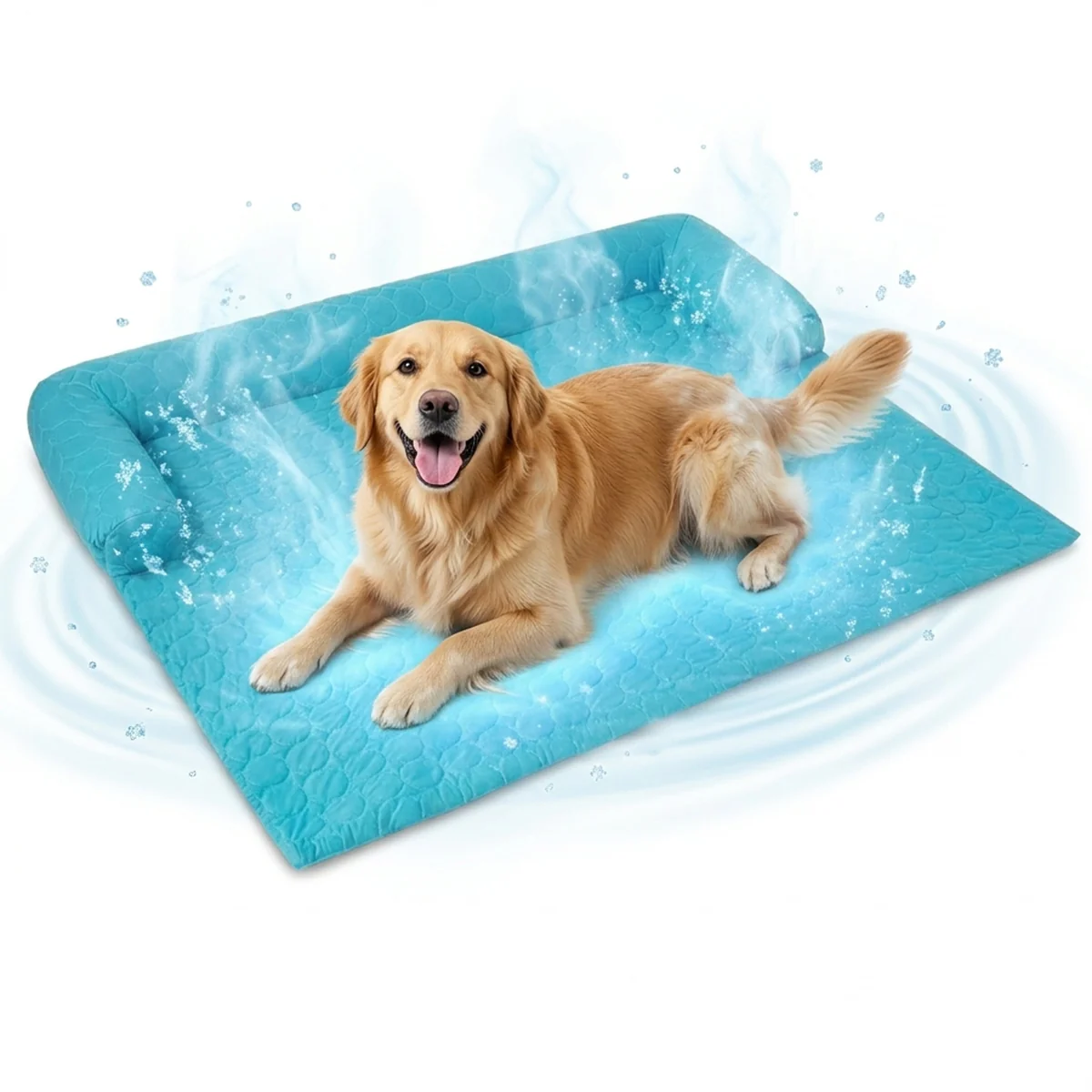 Dog Beds